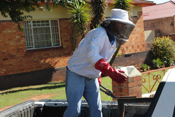 The Job of a bee keeper